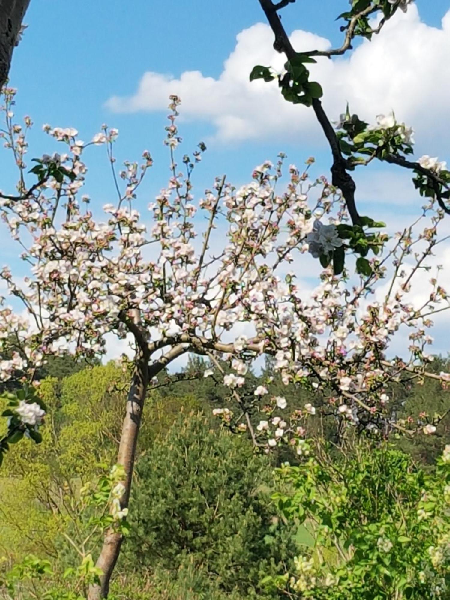 Ferienlandhaus Zempow Exteriör bild