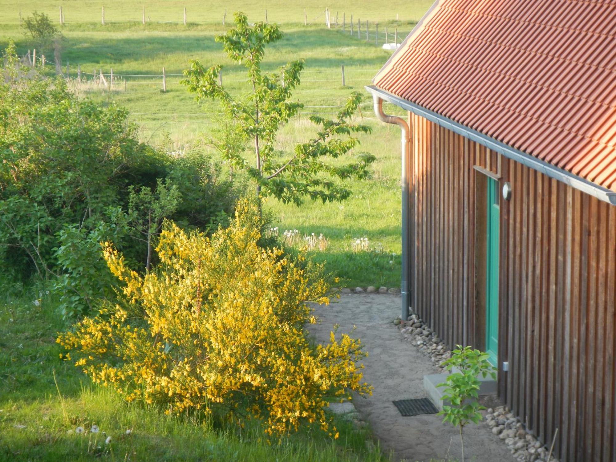 Ferienlandhaus Zempow Exteriör bild