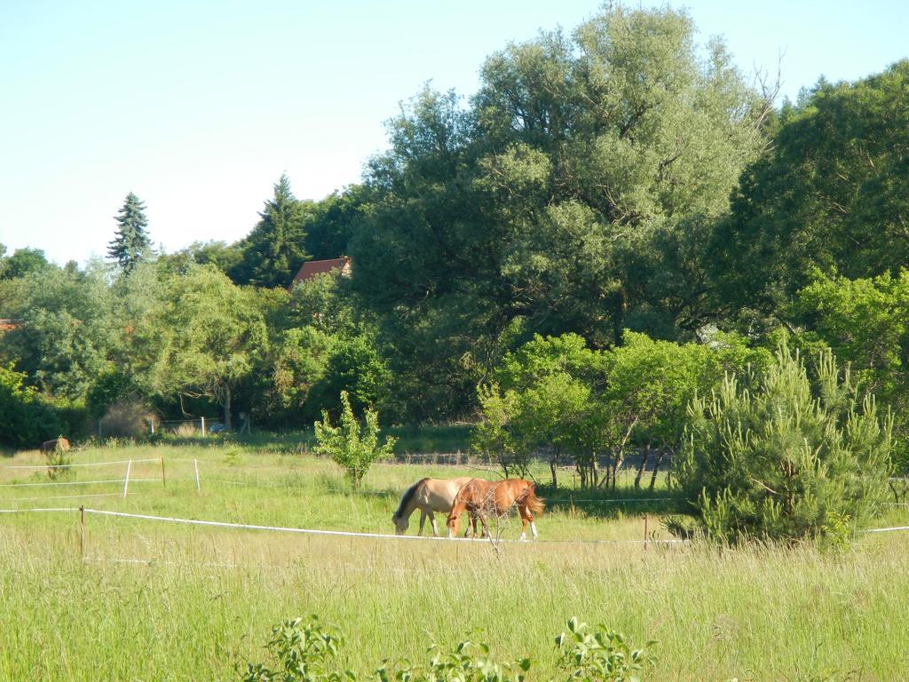 Ferienlandhaus Zempow Exteriör bild