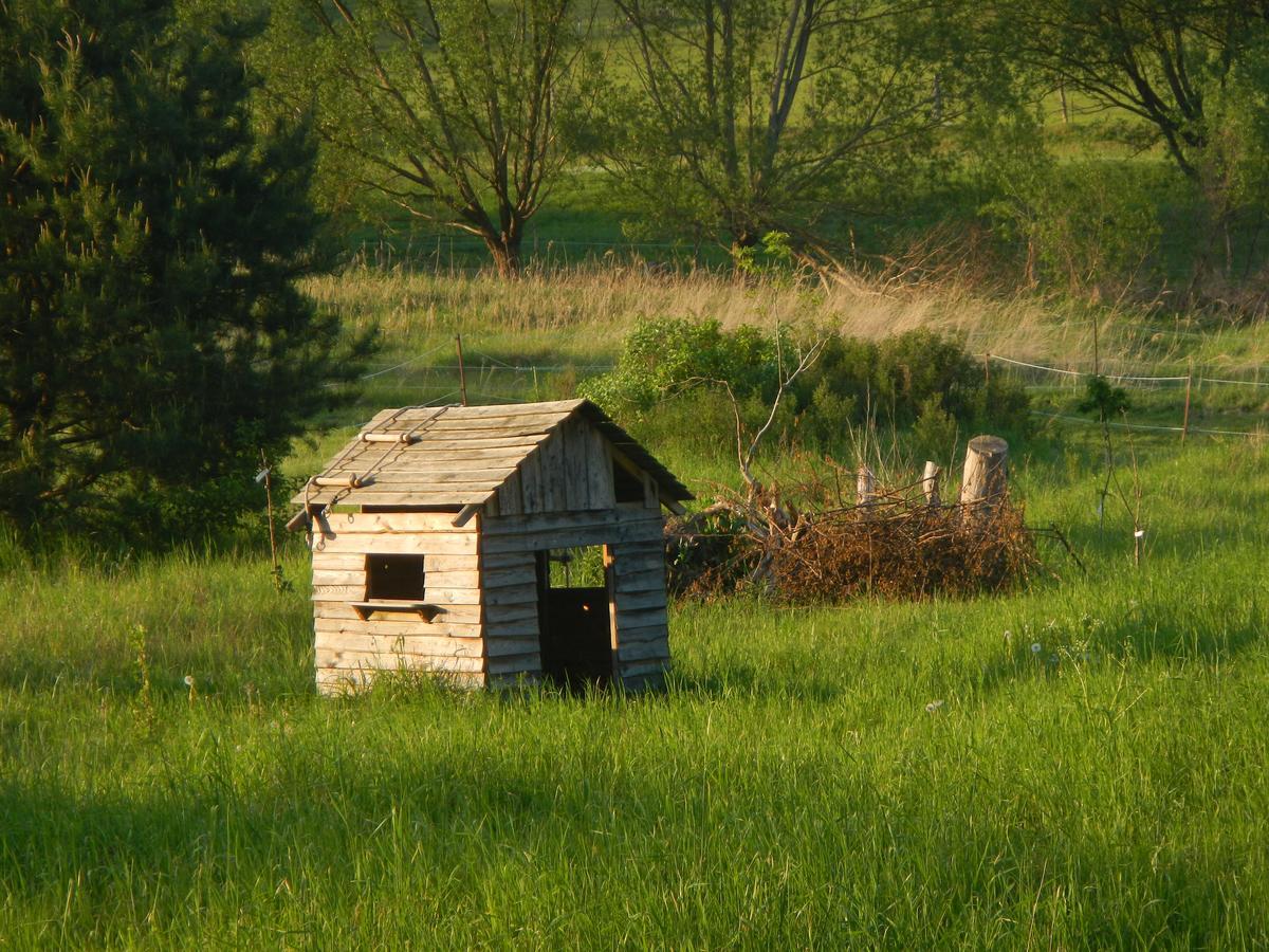Ferienlandhaus Zempow Exteriör bild